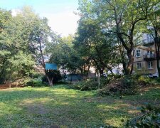 Зеленая зона на улице Героев УПА во Львове