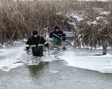 Українські рятувальники дістали собак із замерзлої річки та колодязя: свято милосердя