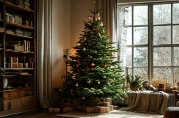 Елка, Новый год, фото из свободных источников