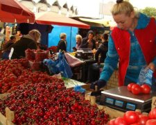 Ягоды резко подешевели на рынках