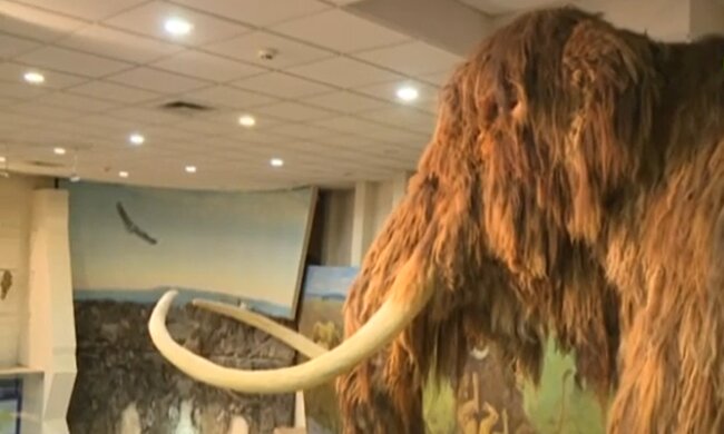 Мамонт в музее, скриншот: YouTube