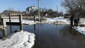 Потоп на Львівщині, фото: суспільне