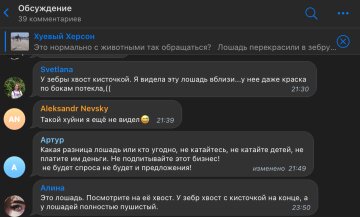 Скриншот комментариев, фото: Telegram