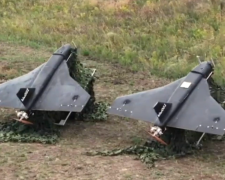 БПЛА "Гербера". Фото: скрін youtube