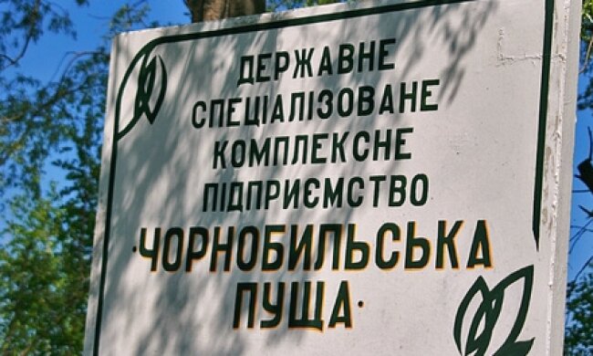 В Чернобыльской пуще вторые сутки тушат пожар