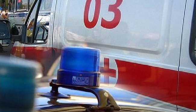 Львовянина укусила змея