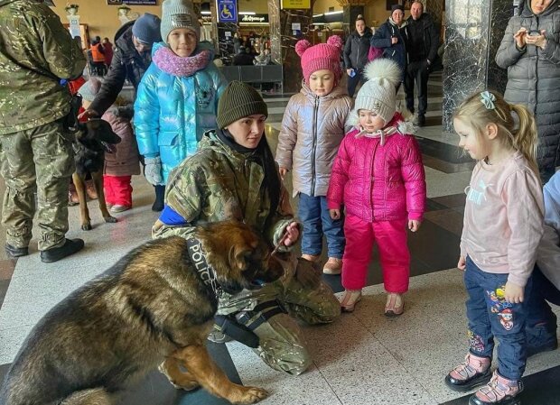 На Київському вокзалі дітям-біженцям провели терапію кінологи з собаками: "У мирний час шукали злочинців"
