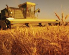 Аграрии теряют $600 млн в год из-за неэффективной логистики