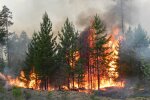 Маленькі супермени врятували Дніпро від страшної катастрофи, таке не під силу навіть дорослим: геройський вчинок потрапив на відео