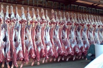 Украина будет поставлять мясо в Арабские Эмираты