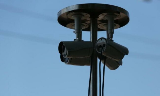 На Закарпатті затримали велику групу нелегалів