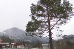 По Прикарпаттю вдарять заморозки - стихія приголомшила "зимовим" сюрпризом в розпал травня