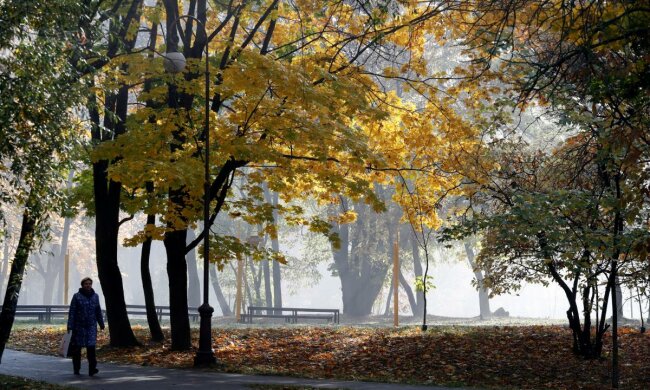 Погода на 25 листопада: синоптик прогнозує морози, які гризтимуть носи й щоки