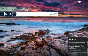 Поисковая система Bing скриншот