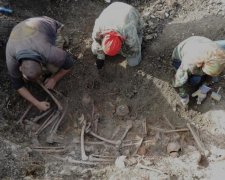 Находка на клумбе шокировала украинский город