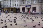 Тернополян душить моторошний сморід ночами, причина знайшлася в несподіваному місці