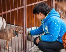 П'ять чарівних причин взяти тварину з притулку