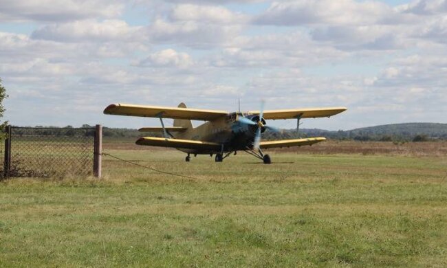 Вінниччину атакував сказ, в небо піднята авіація: якими "сюрпризами" нагодують рудих бестій