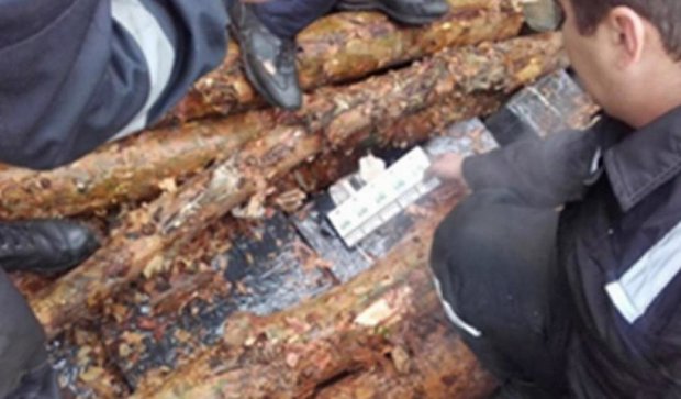 На Закарпатье контрабандные сигареты обнаружили в поезде под грузом леса (фото, видео)
