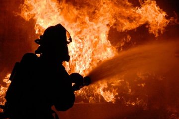 Пожежників чекали півгодини: під Києвом згоріла ветеринарна клініка