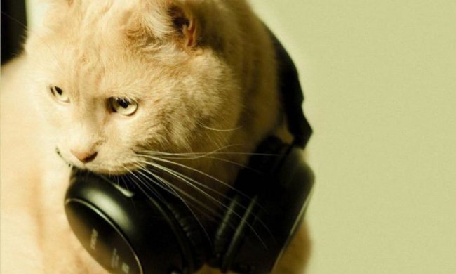 У Google з'явиться власний Shazam