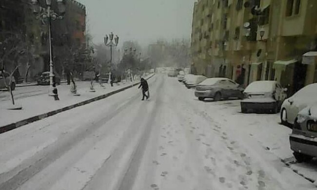 Сніг в Алжирі, фото: @gharnaoulotfi