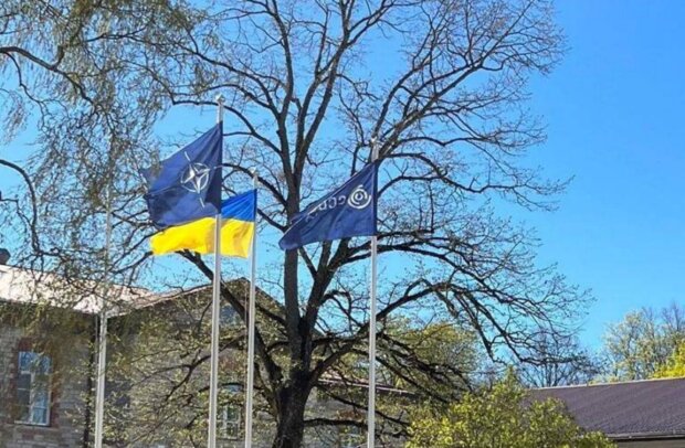 "Приєднання України посилить ефективність Кіберцентру НАТО", - нардеп Пушкаренко