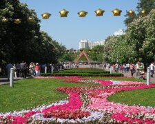 Орудовала в кустах: в Киеве накрыли странную воровку с лопатой