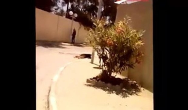 Крики людей и стрельба: видео теракта в Тунисе
