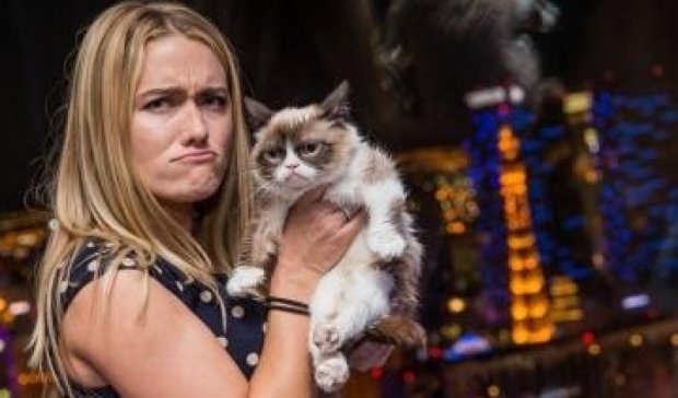 Сердитая кошка сделала свою хозяйку миллионершей