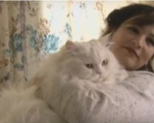 В Туреччині жінка успішно оскаржила виселення її кота
