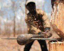 "Киевзеленстрой" утверждает, что не знал о вырубке деревьев корпорацией Roshen