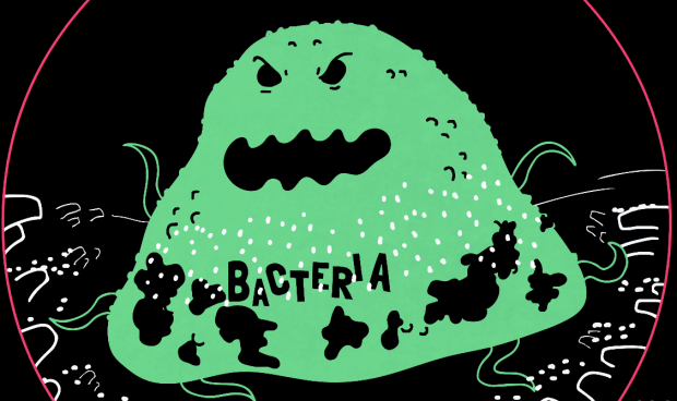 Муравьи против супербактерий: ученые узнали, как отсрочить кризис антибиотиков