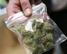 Харківські копи затримали зберігача отруйного зілля