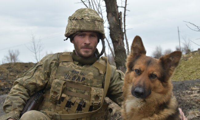 Військовослужбовець Данило і вівчарка Міна, facebook.com/pressjfo.news