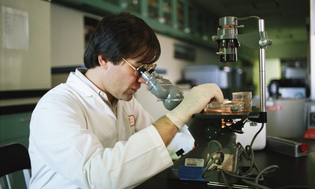 Вчені знайшли продукт, який "вбиває" ракові клітини: достатньо жмені на день