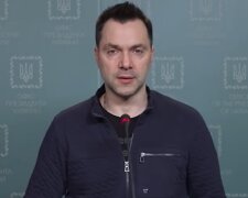 До Олексія Арестовича заявилася поліція з собаками, потім почалася дівчинка-цукерка: "До чого ці розпитування?"