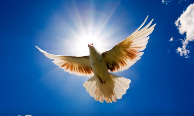 Благовещение: источник: видео с YouTube