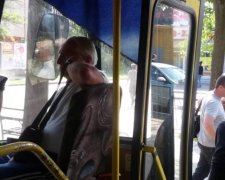"Чтобы возить ваши вонючие задницы": украинцы пошли войной на дерзкого маршрутчика

