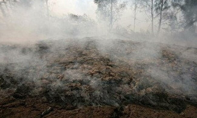 На Київщині лишилося 10 осередків тління торфу