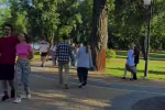 Українці, прогулянка, весна, кадр з відео