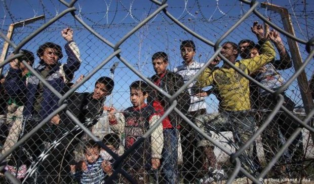 Венгерская полиция арестовали 60 беженцев