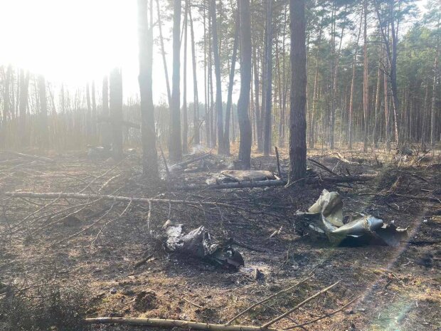 Історія гідна фільму: український пілот перед смертю відвів літак від села, щоб врятувати мирних жителів