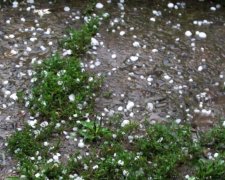 Одеський град шокував мережу