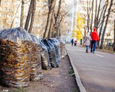 Смертельні хвороби, кінець екології та штрафи: : те, чим в Україні займаються прямо зараз - вже поза законом