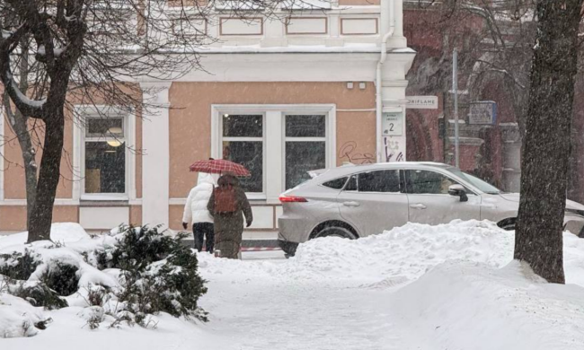 Украинцы, зима, фото из соцсетей