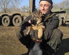 Пухнасті побратими бійців АТО (фото)