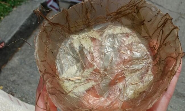 Фото: Укрінформ