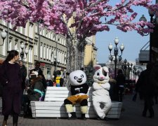 Погода на 22 квітня: весна вразила синоптиків різноманітністю
