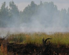 Сто гектарів торфовищ палає у Волинській області
